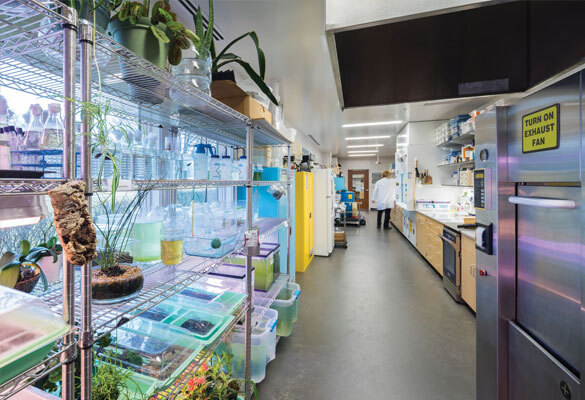 Bellevue University Biology Lab image