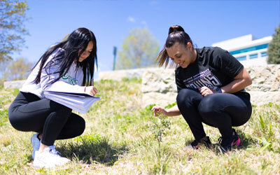 Students studying plants on hillside